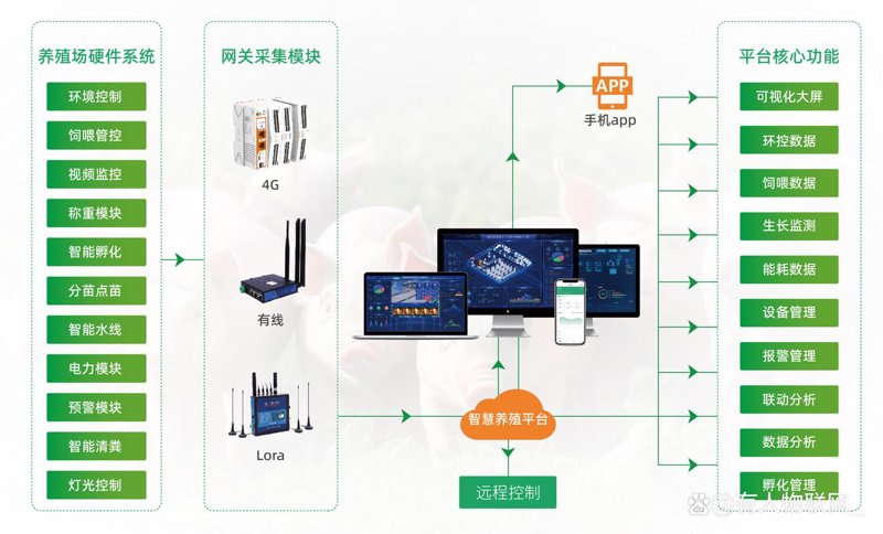 数据中台:企业转型的必由之路